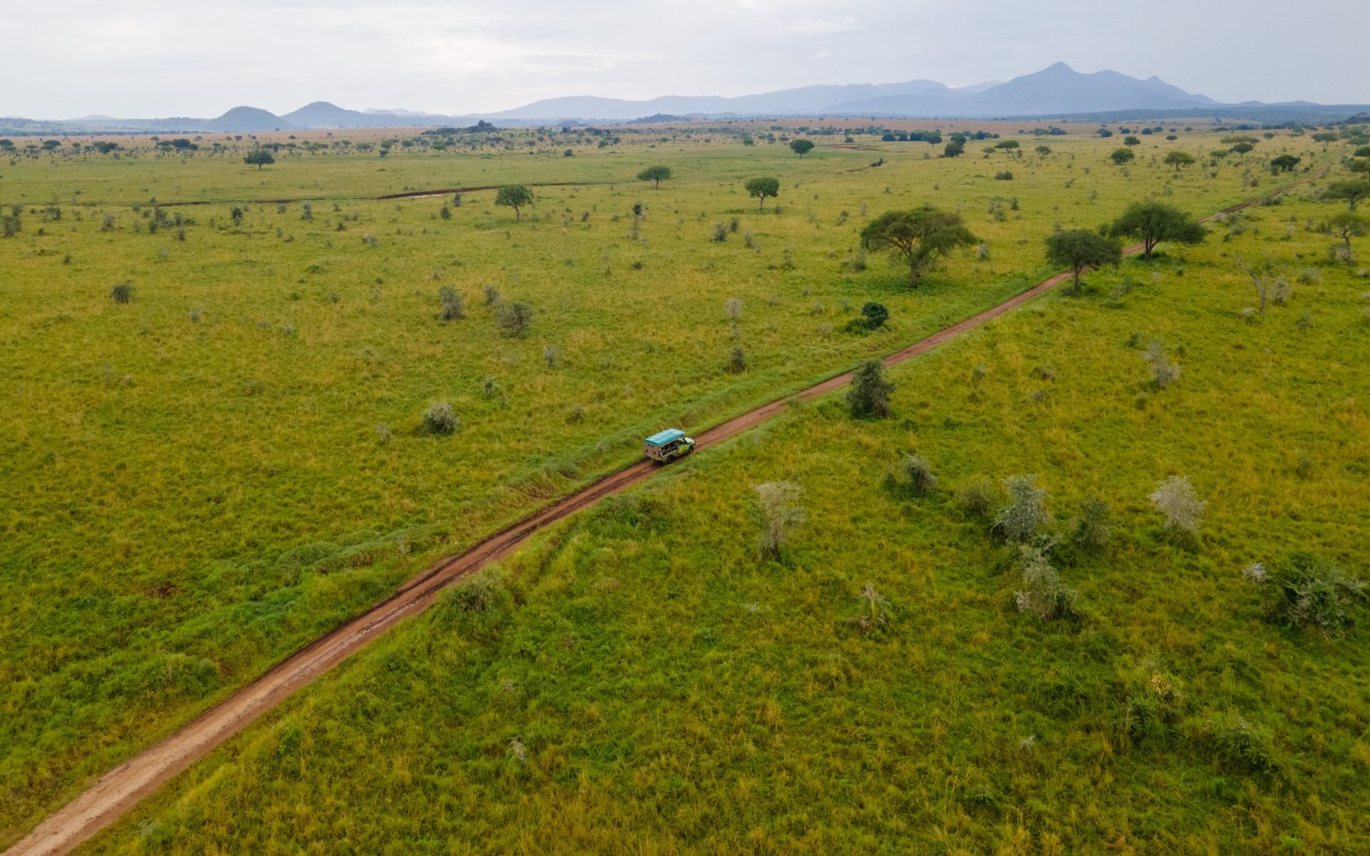 Safari track in the Kidepo Valley National Park, Uganda.