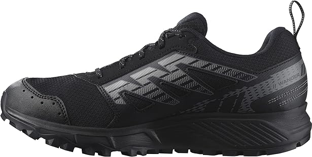 Salomon hiking shoes