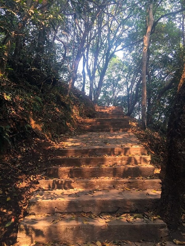 Shivapuri Day Hiking Trails through the forest.