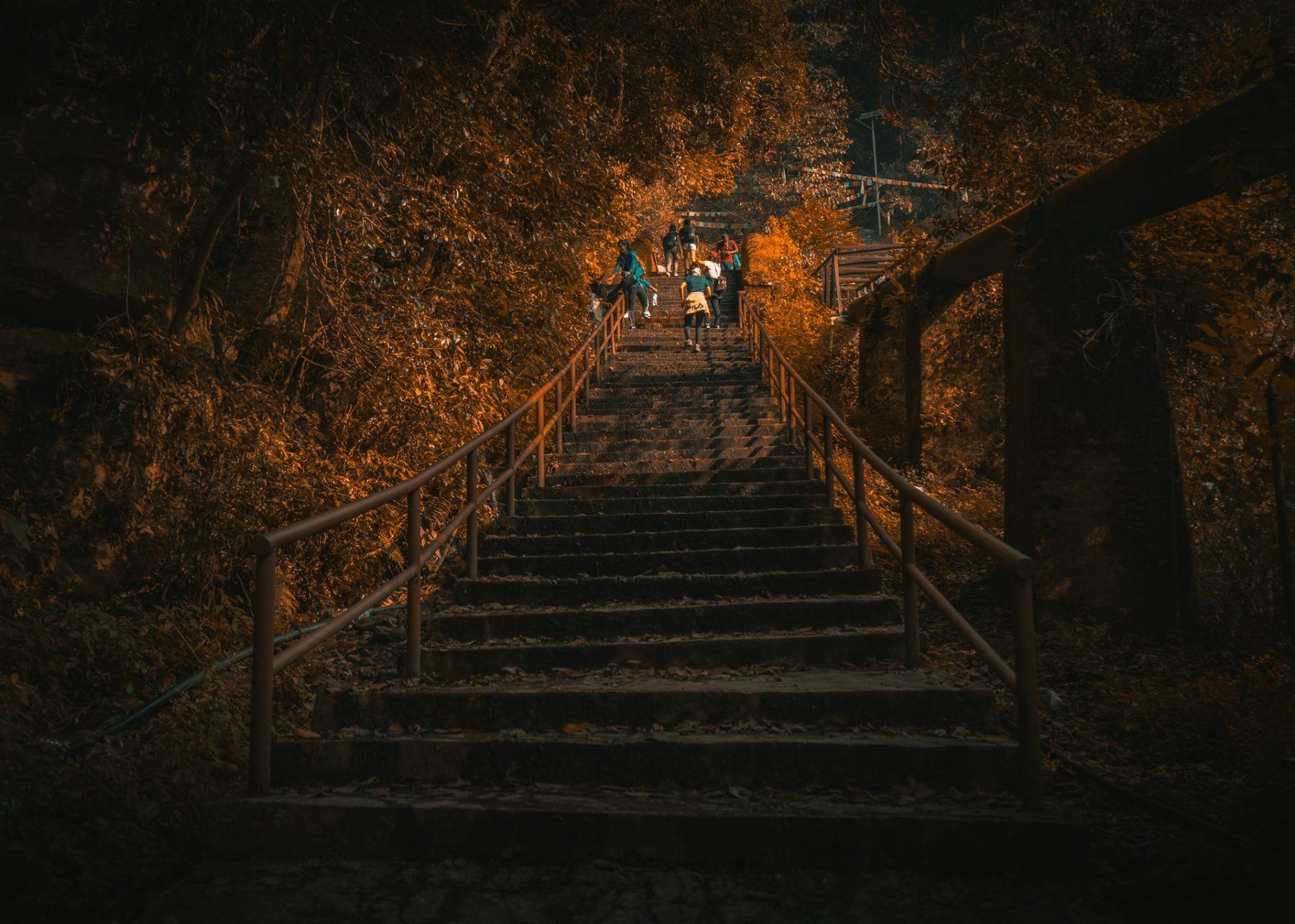Stairs at the Shivapuri Nagarjun National Park, Nepal.